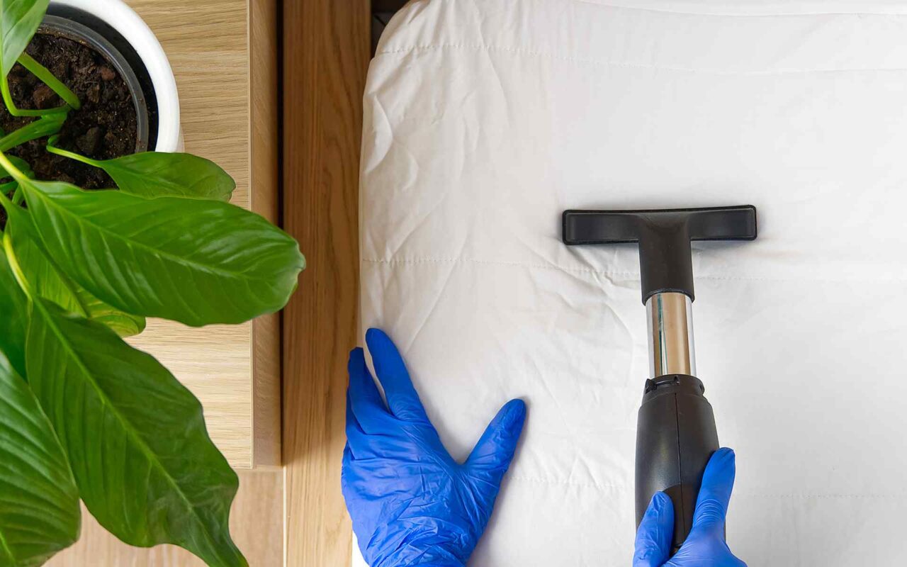 Deep Cleaning vs. Regular Cleaning: What’s the Difference?